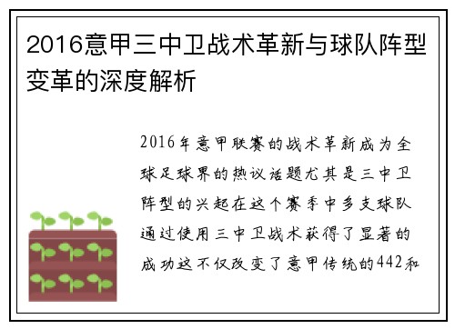 2016意甲三中卫战术革新与球队阵型变革的深度解析