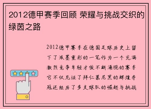 2012德甲赛季回顾 荣耀与挑战交织的绿茵之路