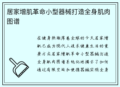 居家增肌革命小型器械打造全身肌肉图谱