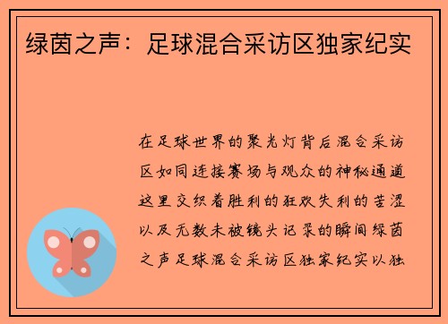 绿茵之声：足球混合采访区独家纪实
